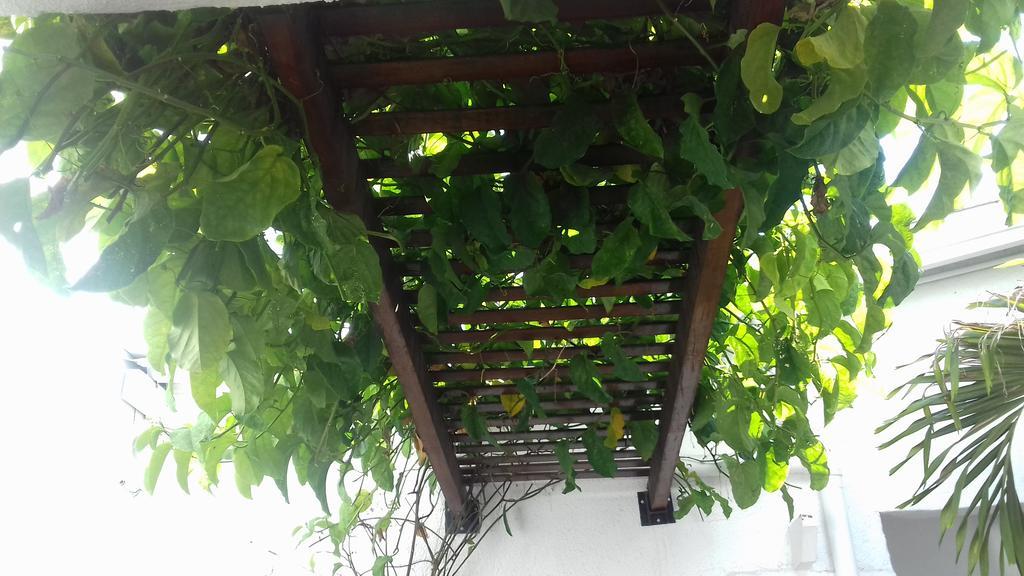 Pousada Casarao Taubaté Exteriör bild